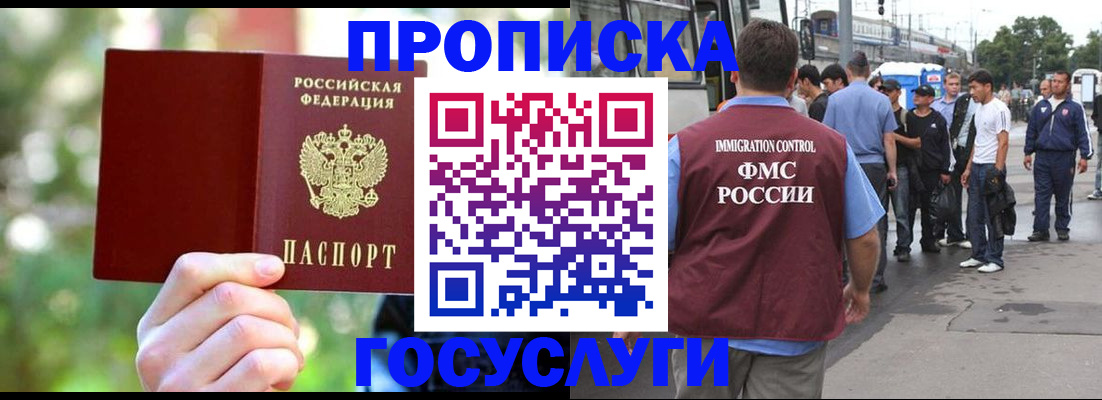 прописка поиск в Гатчине